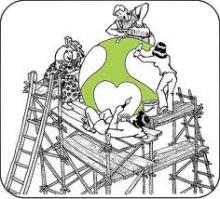 chantier sel